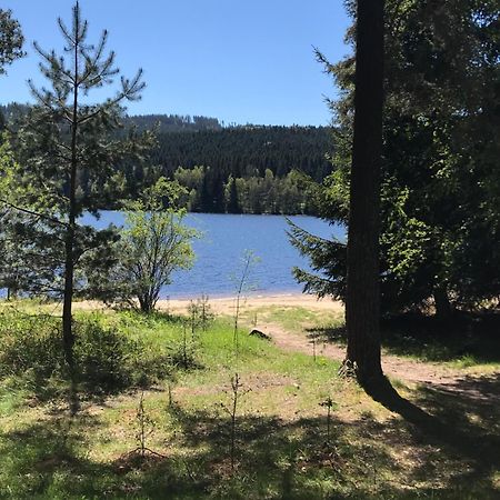 Rodinne Ubytovani Krauskopfovi Lipno nad Vltavou Eksteriør billede