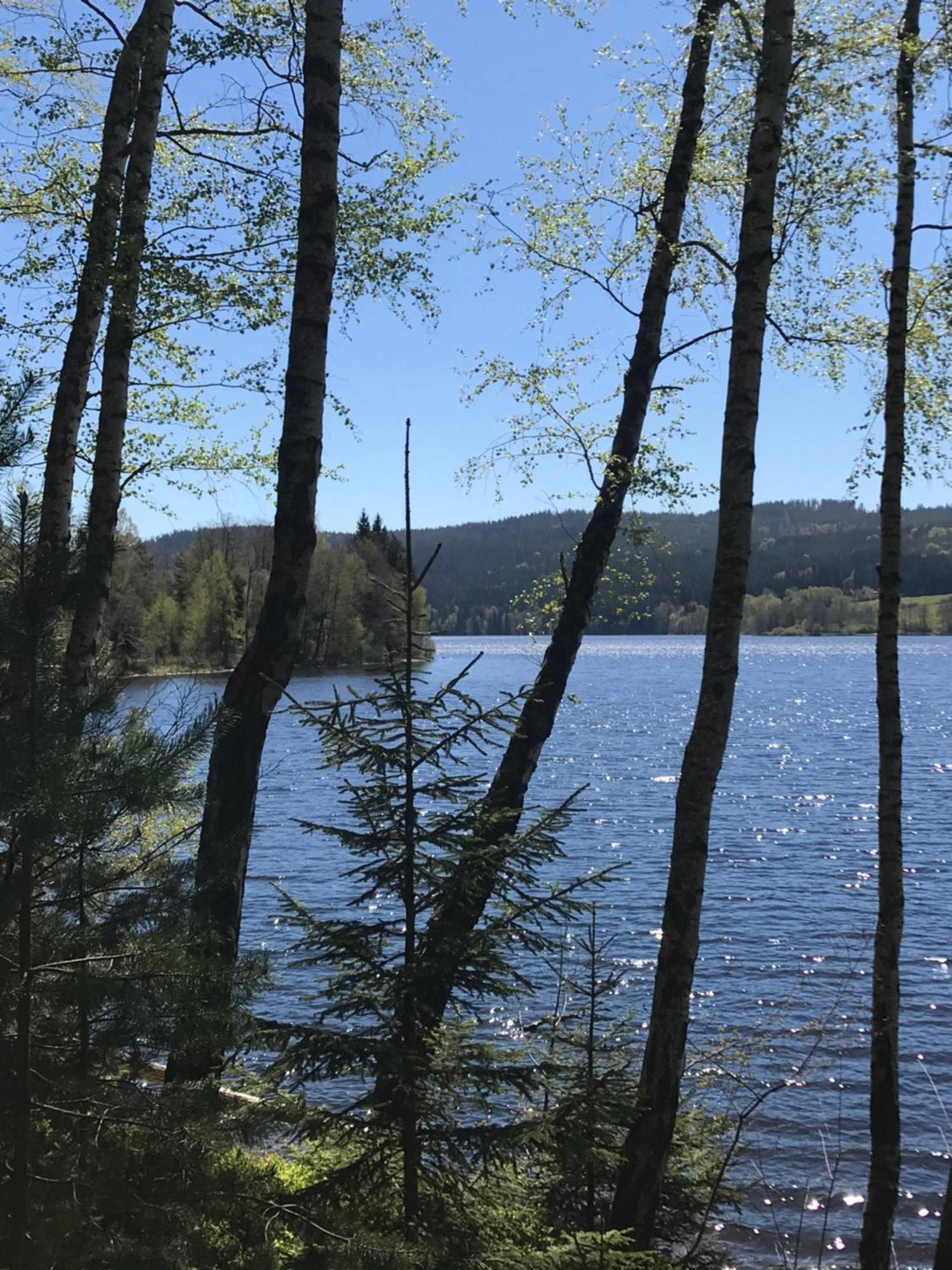 Rodinne Ubytovani Krauskopfovi Lipno nad Vltavou Eksteriør billede